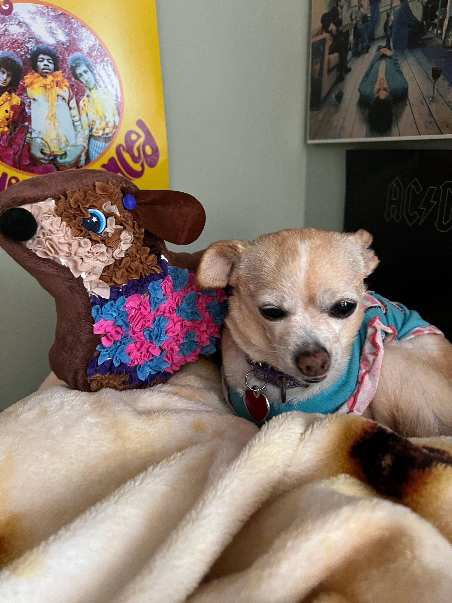 DIY Kids Pillow-Dog