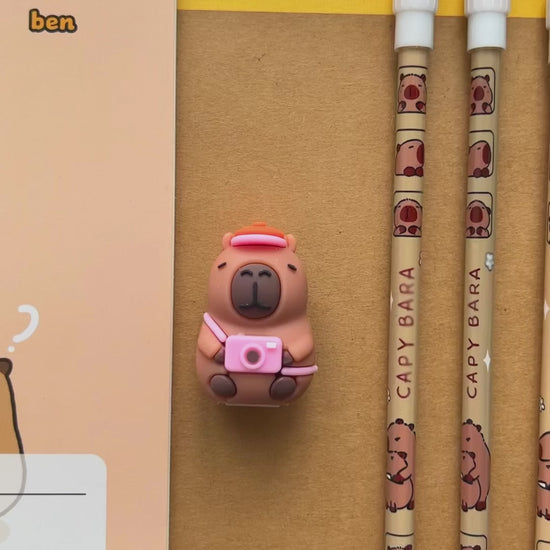 Video showcasing a close up look at the tiny capybara pencil sharpener and decorative HB pencils.