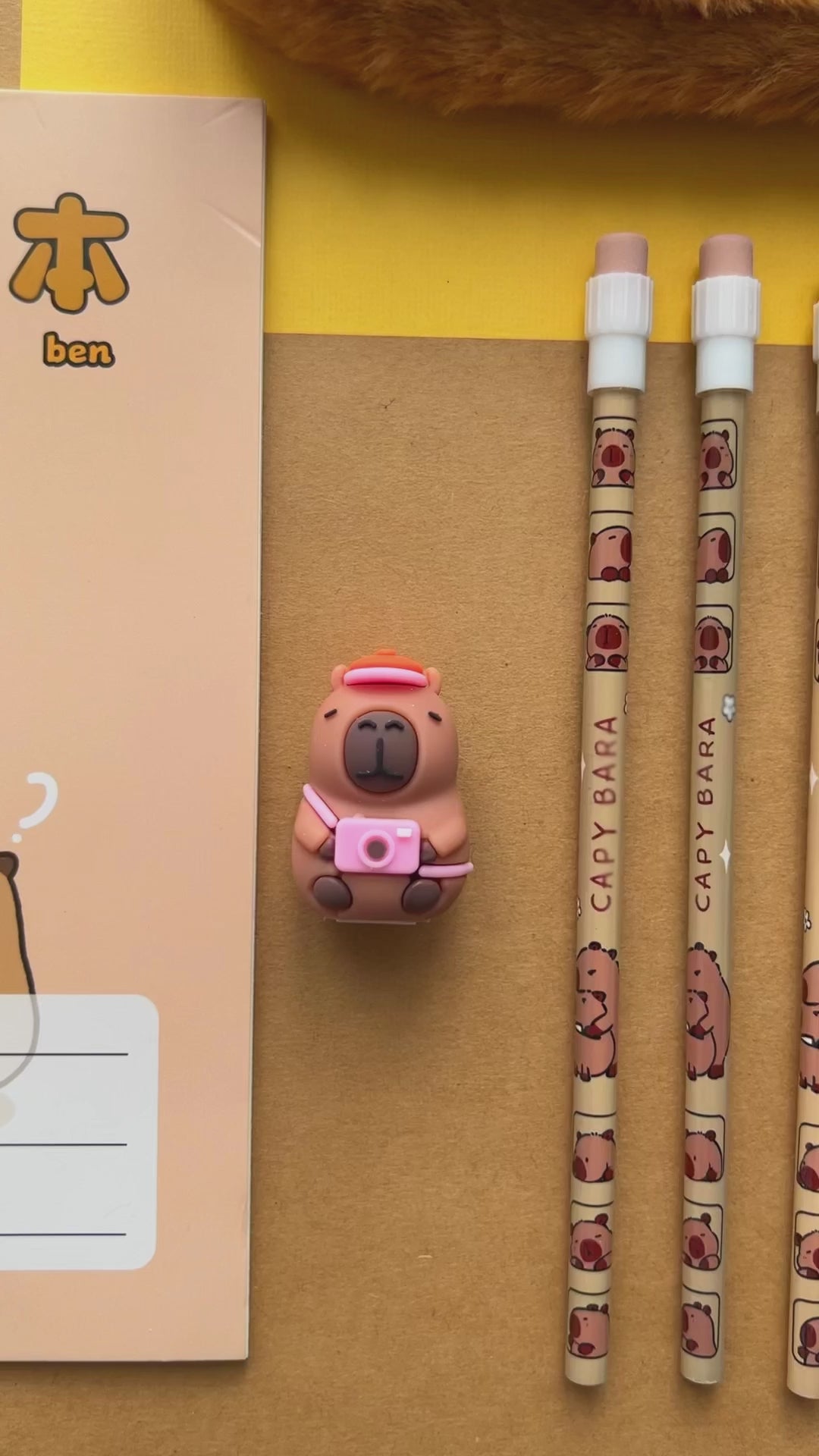 Video showcasing a close up look at the tiny capybara pencil sharpener and decorative HB pencils.