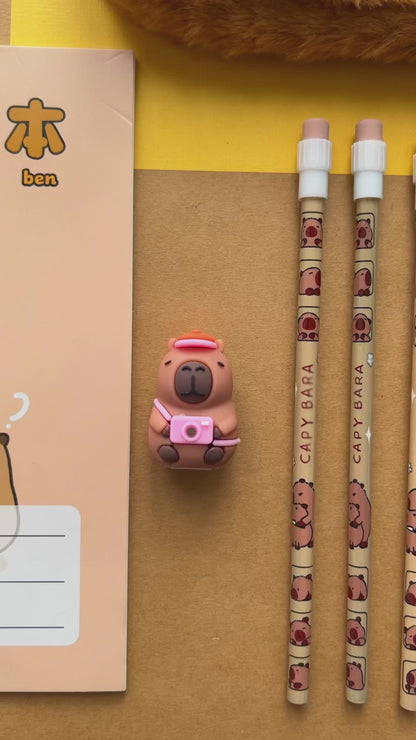 Video showcasing a close up look at the tiny capybara pencil sharpener and decorative HB pencils.